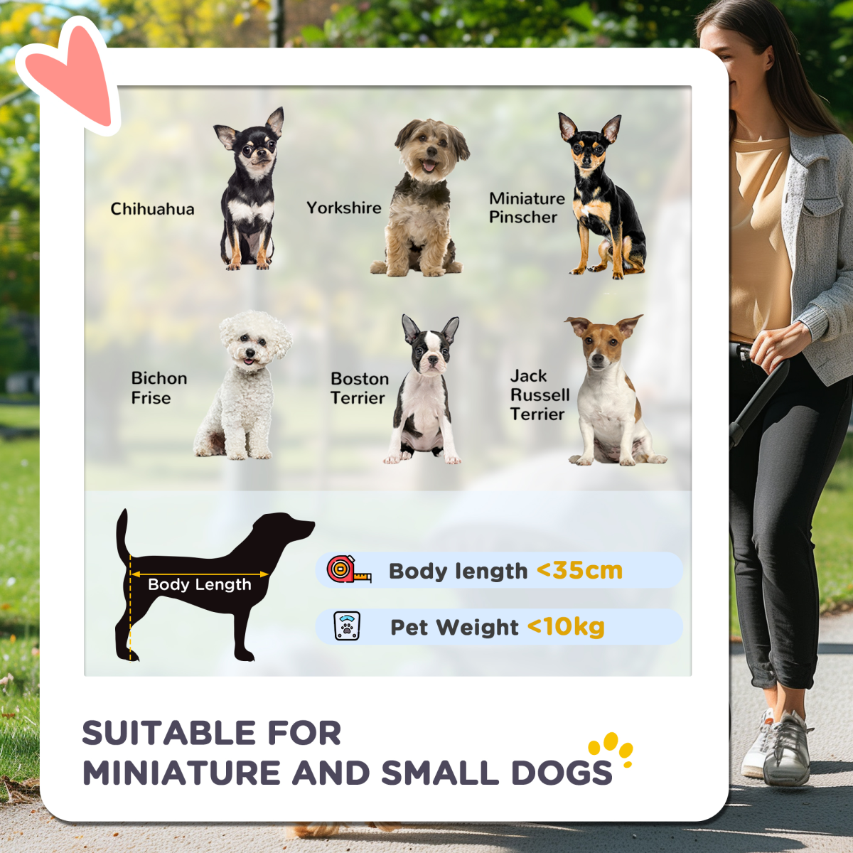 Pet Stroller Cat Dog Jogger Puppy Pushchair Travel Cart Carrier Walk 4 Wheels