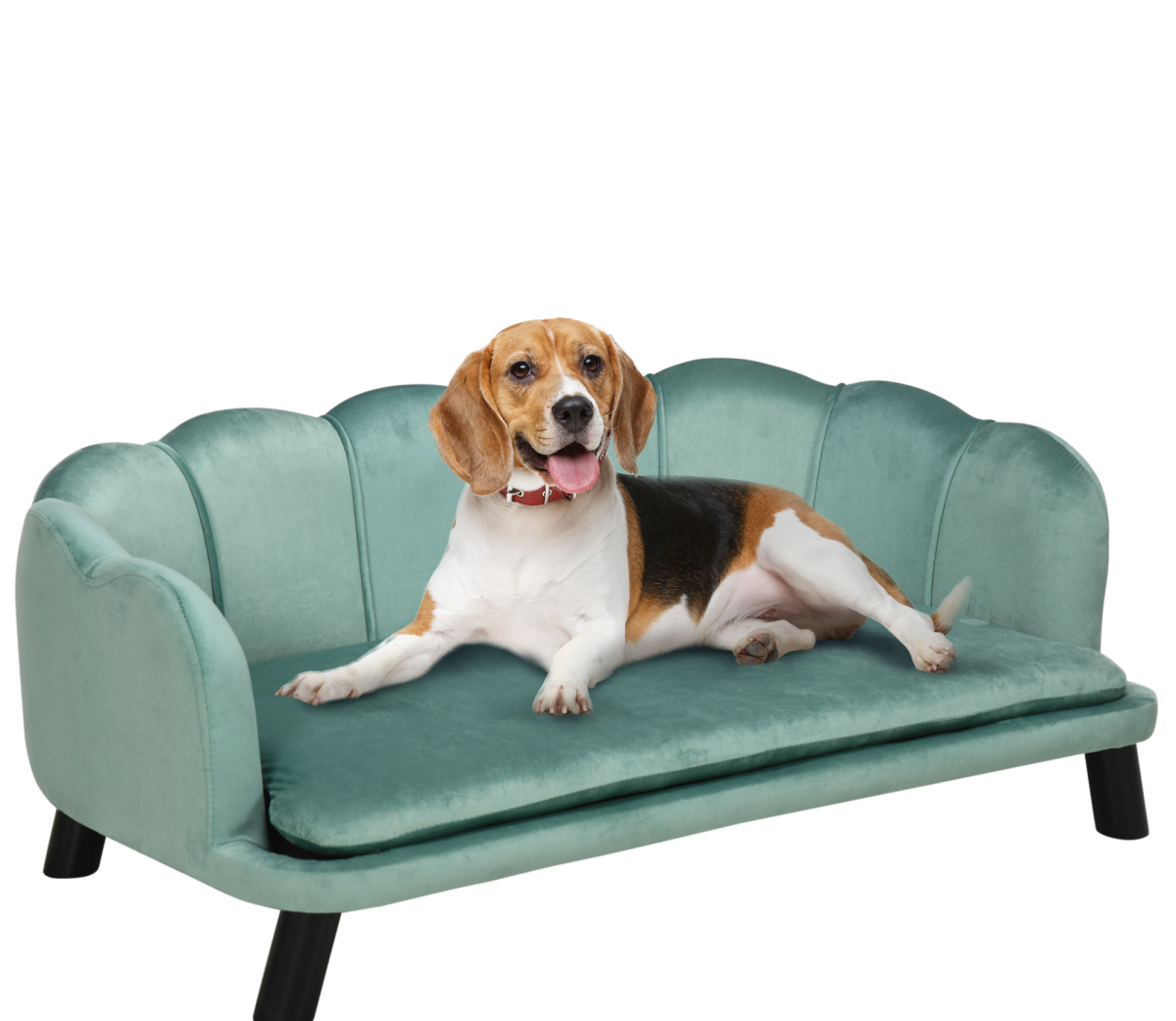 Pearl Shell Dog Sofa with Washable Cushion – Green