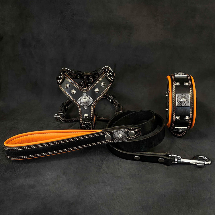 Harness & Leash