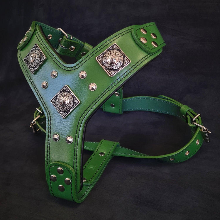 Harnesses