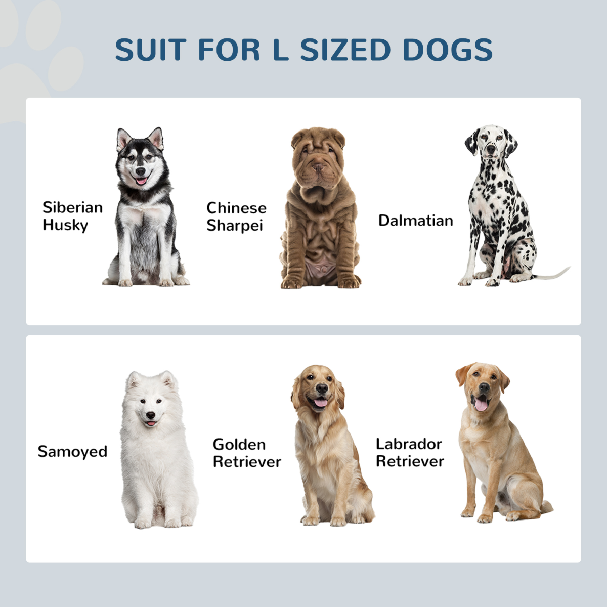 Elevated Dog Bowls w/ 21L Storage Drawer for Large Dogs and Cats - White