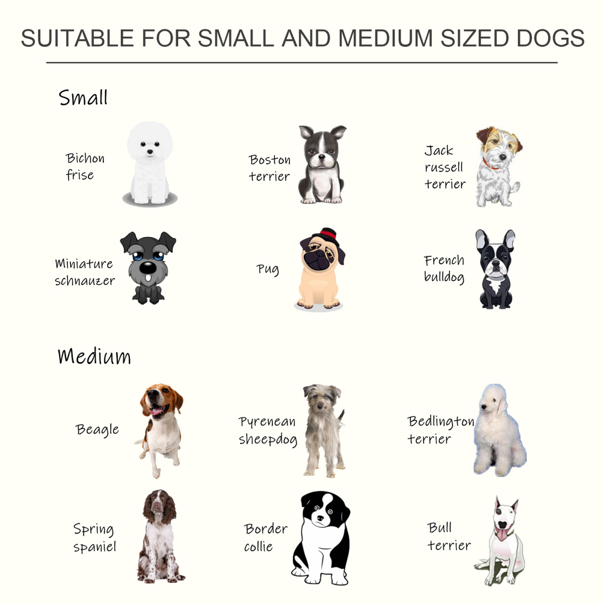 Raised Pet Feeder Elevated Double Stainless Steel Bowls Stand, Anti-Slip Base, Water White