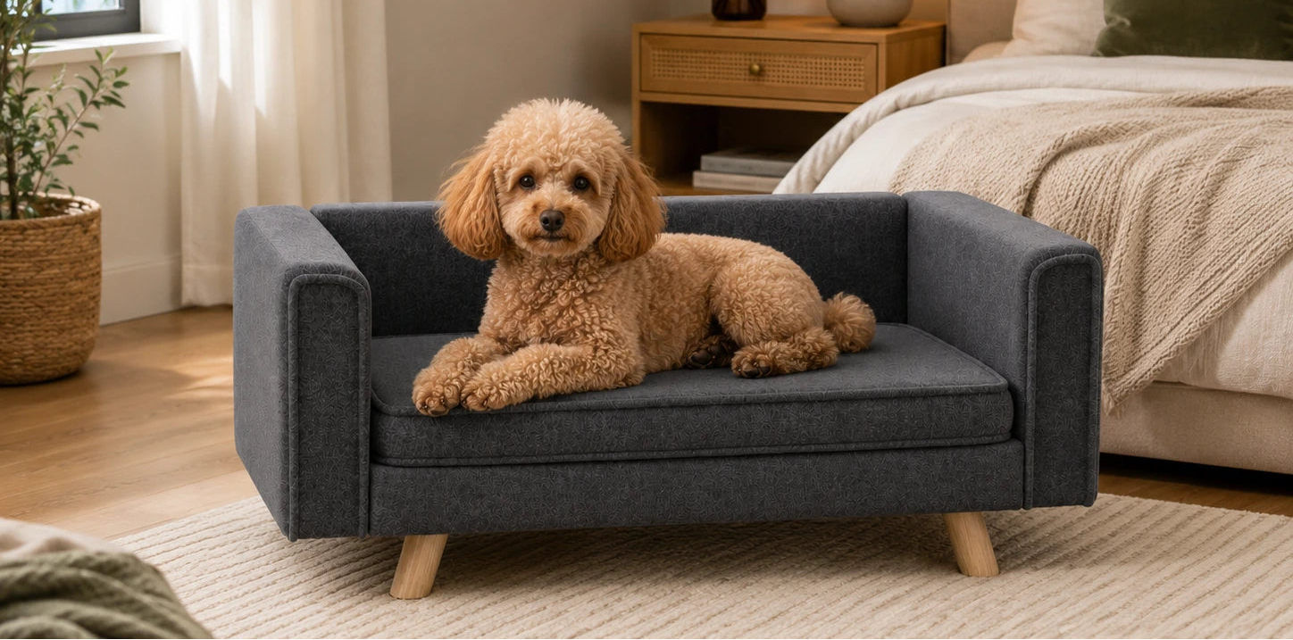 Elevated Dog Sofa with Washable Cushion – Grey